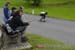 Almabtrieb2007_Do_226