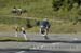 Jochpass-Downhill_588