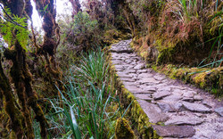 The Inca Trail to Machu Picchu | Peru