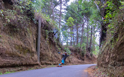 Longboard-Freeride | San José - Costa Rica