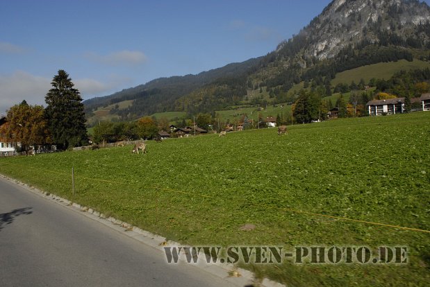 Jochpass-Downhill_431